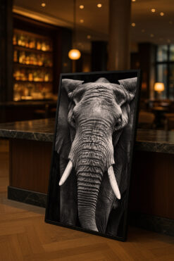 Alternative view of Elephant