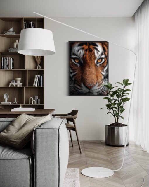 Tiger Portrait - Image 2