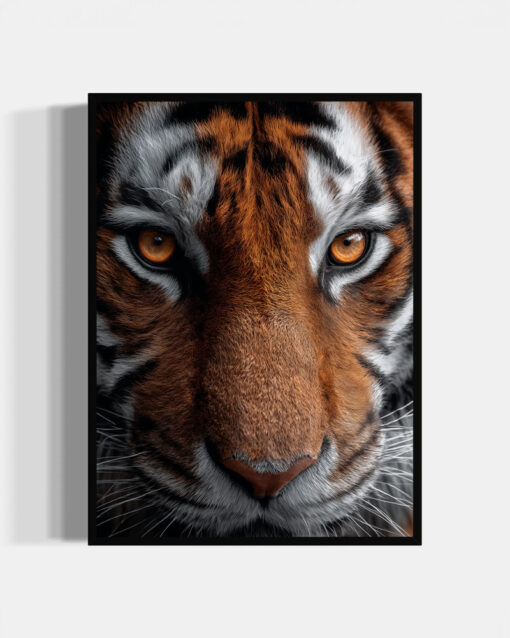 Tiger Portrait