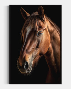 Caballo
